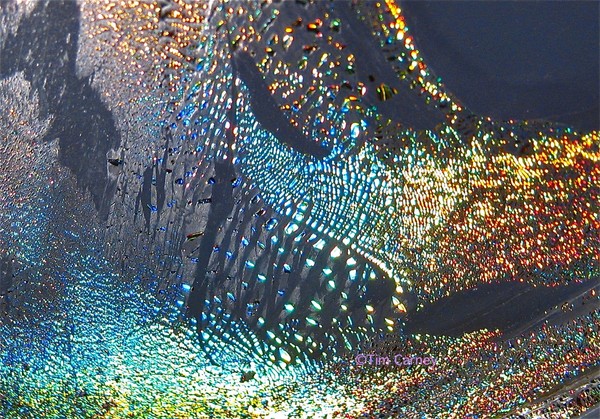 Waves on Alien Beaches 4106