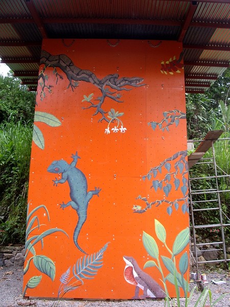 Painting on climbing wall I