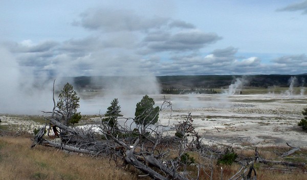 The Geysers in Yellowstone