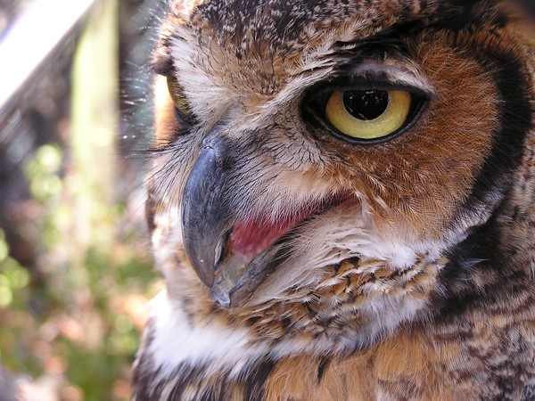 I see you