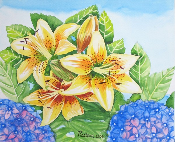 Lily