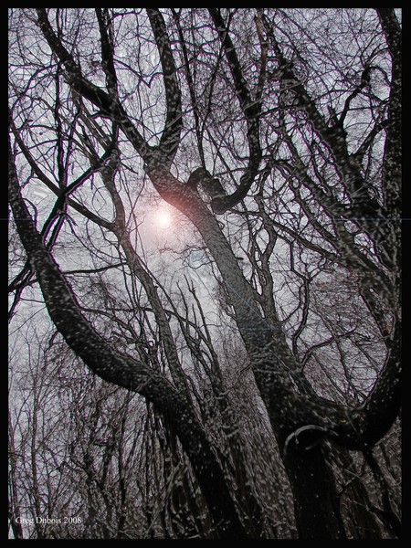 Lucifer the morning star of War