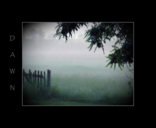 DAWN