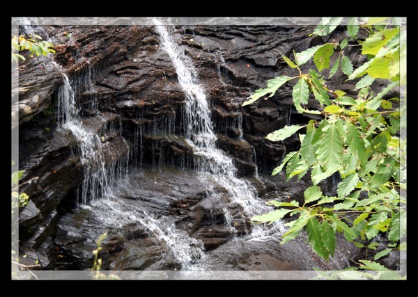Fall Creek Falls