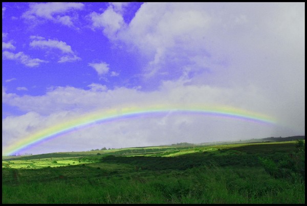 RAINBOW ON MAUI
