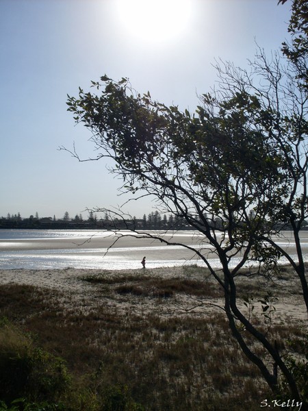 A Walk at Low Tide