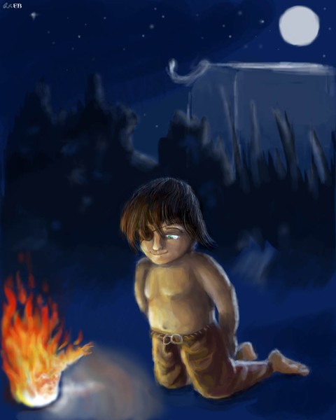 The Shy Fire