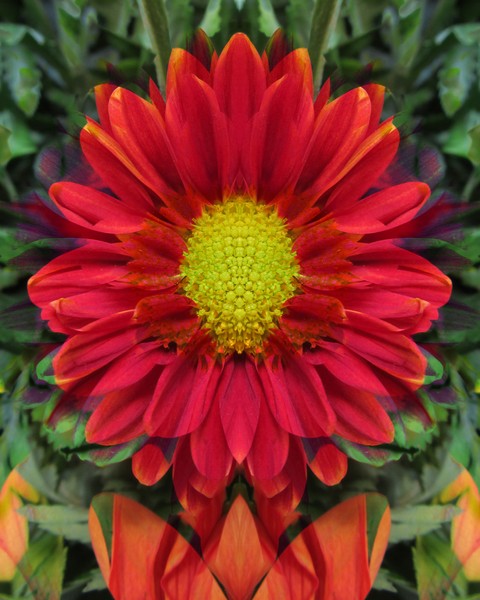 Red Fantasy