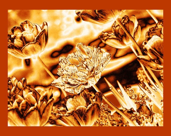 Touch of golden breeze...