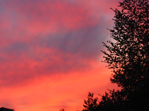 one spring night..