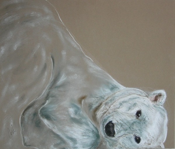 Arctic Frolic