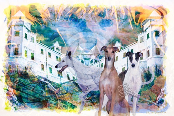 Greyhound