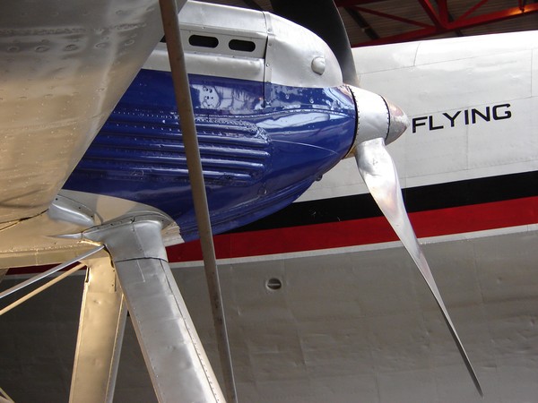 Seaplanes meet