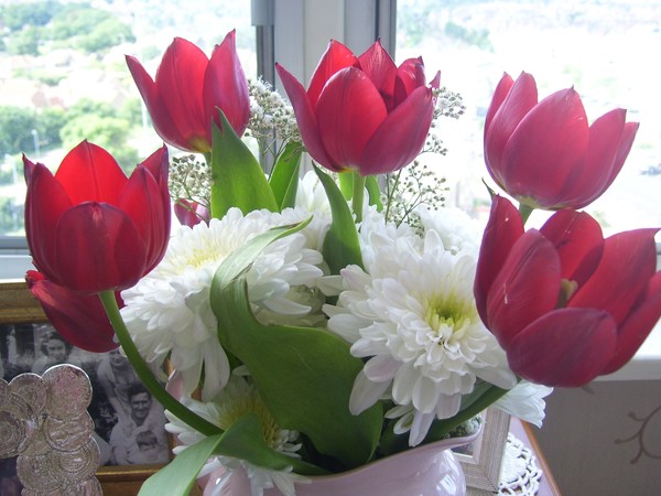 Red & White