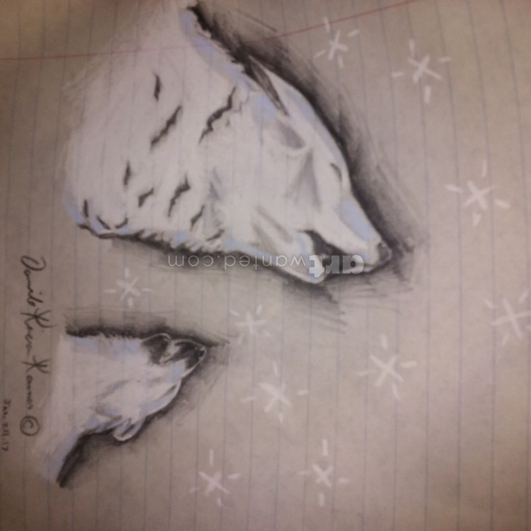 Snow queen wolf