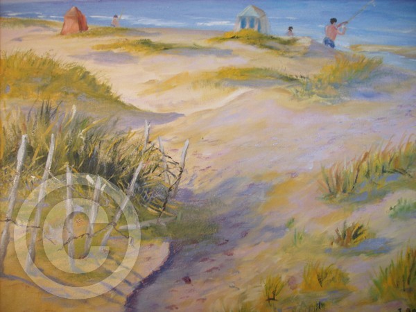 Padre Island Dunes