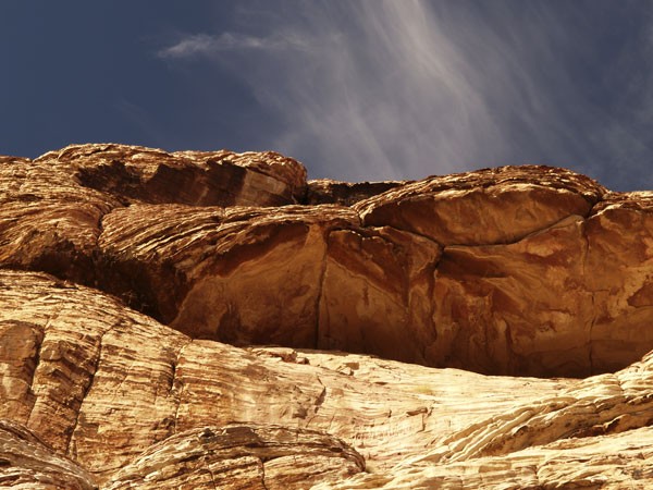 Desert Landscape