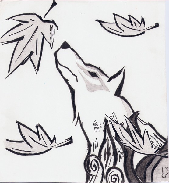 Okami