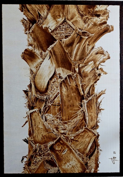 Palm