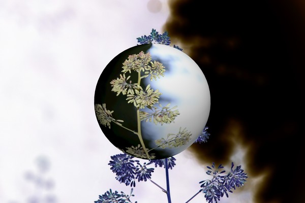 Abstract Flower