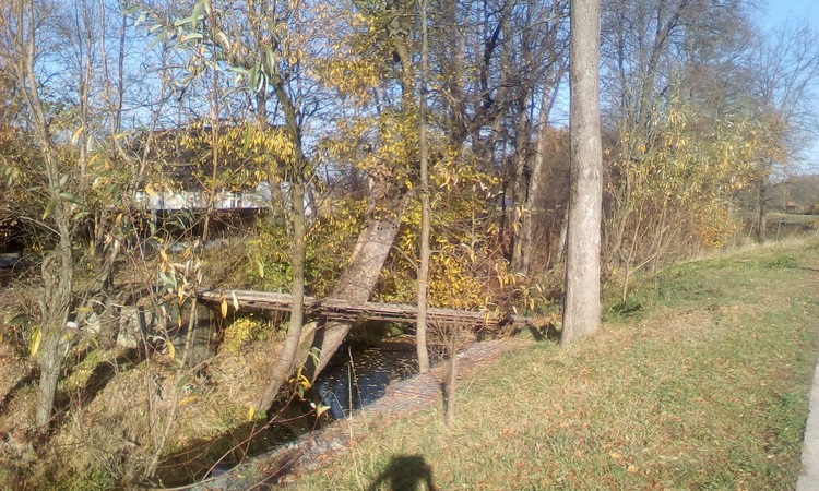 Little river in my village