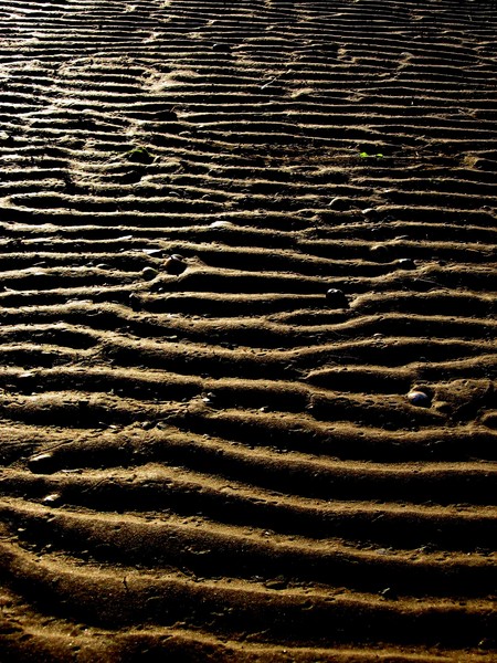 Appledore Sand