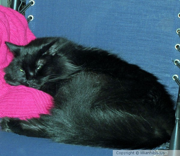 Comfortable