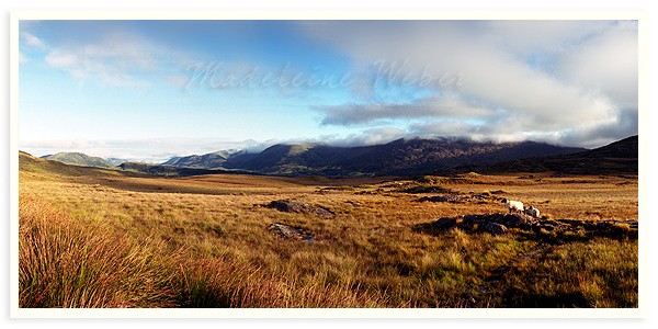•Connemara, Ireland•