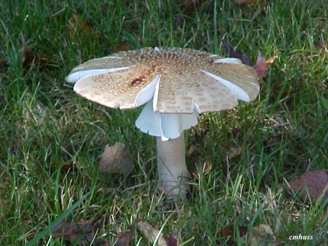 20110325 1