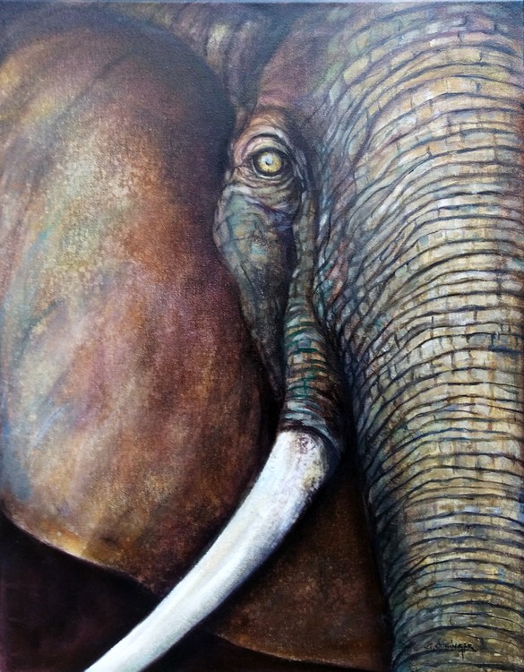 elephant