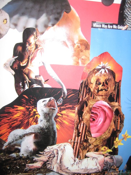 Beauty Lives Between Heaven and Hell