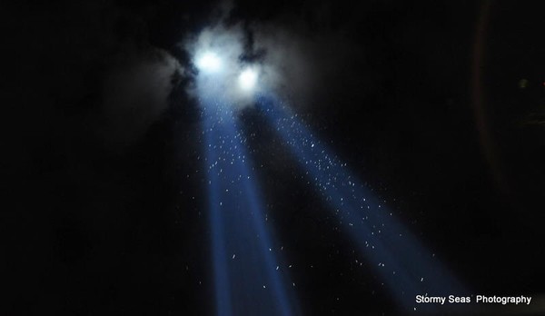 Sept. 11 Twin Tower Tribute in Light