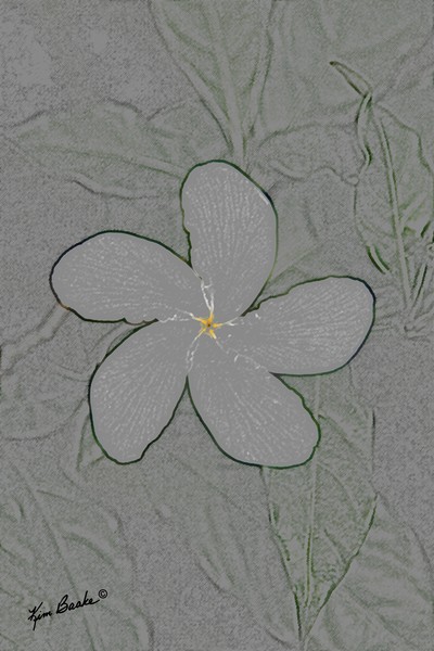 Flower Charge