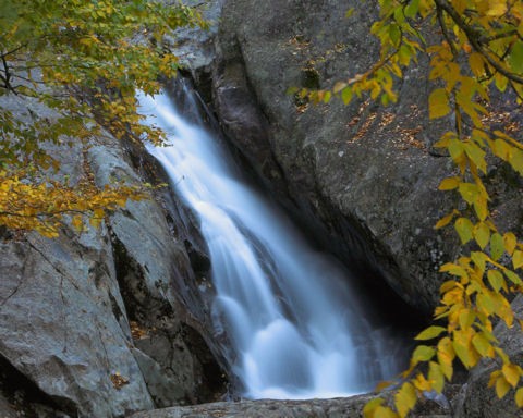 Lake Logan Feeder Falls