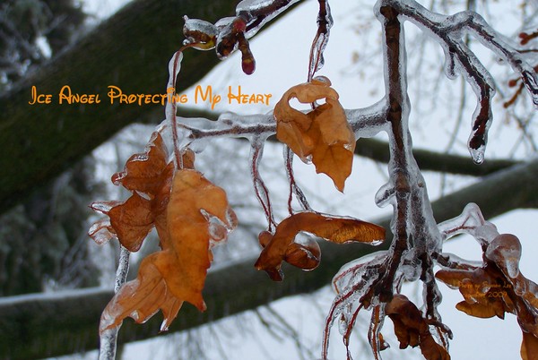 Icy Leaf Angel protecting my heart