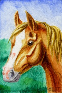Ruby in Watercolor