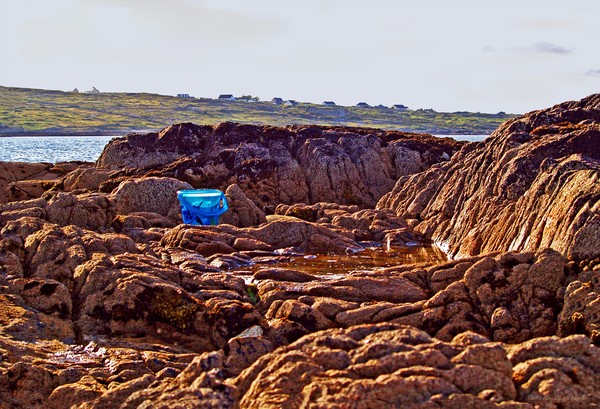 The Blue Bucket