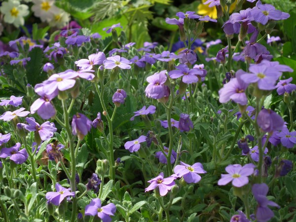 have a sunny and happy weekend.