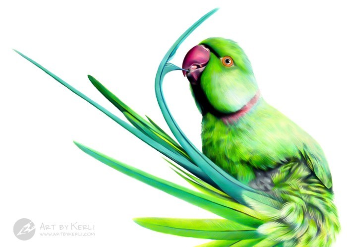 Tidying Feathers