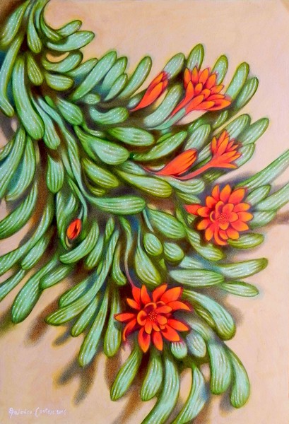 red flowers II