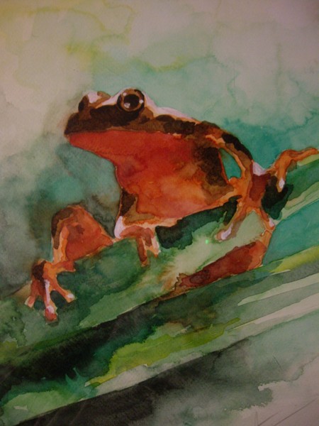 Frog (Sold)