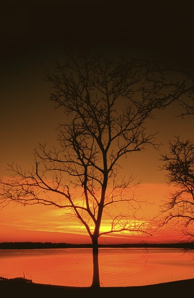 FISHING BAY SUNSET