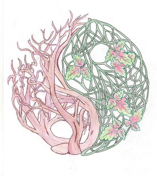 yin yang logo