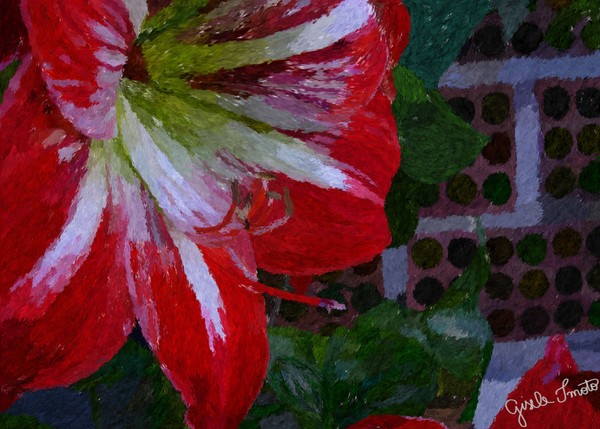 Red Flower