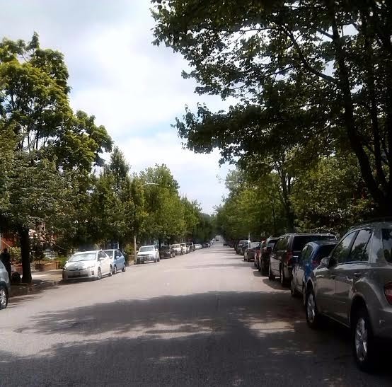 tree-lined triangle street