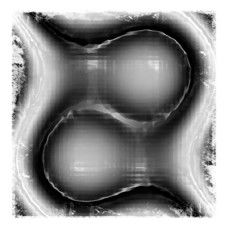 Embryo Bordered