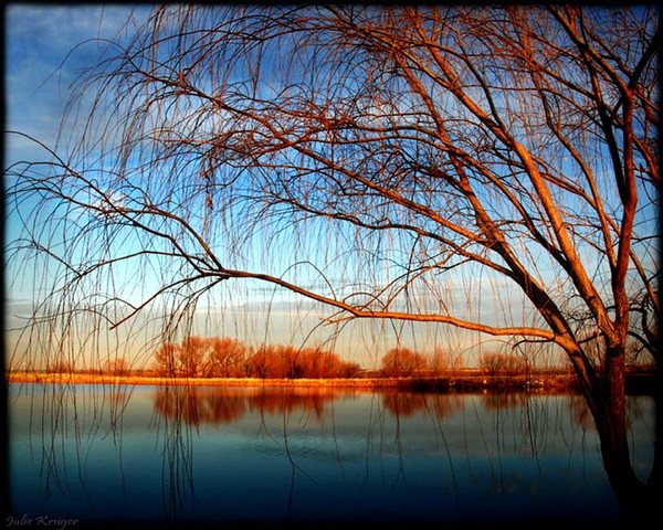 Morning Pond - Original Fine Art Print Metallic
