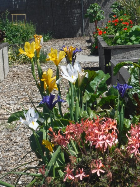 See Garden
