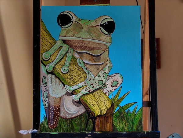 faze 2 frog