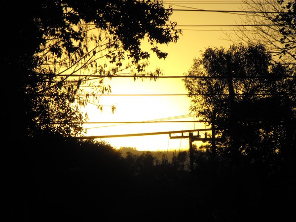 Atardecer Dorado